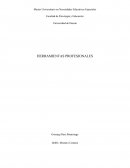 HERRAMIENTAS PROFESIONALES