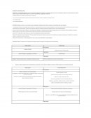 ESTEFANÍA CASTIÑEIRAS LÓPEZ