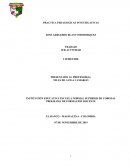 Practicas pedagogicas