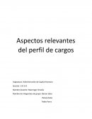 Análisis del perfil de cargos