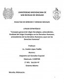 Litigio estratégico y derechos humanos: Herramienta para el cambio social y la transformación del derecho