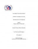 Ensayo sobre la "Eutanasia"