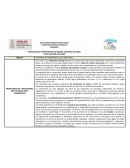 PROGRAMA DE MEJORA CONTINUA