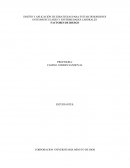 DISEÑO Y APLICACIÓN DE ESRATEGIAS PARA EVITAR DESORDENES OSTEOMUSCULARES Y ENFERMEDADES LABORALES. FACTORES DE RIESGO