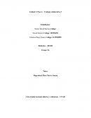 MAPAS CONCEPTUALES – INDIVIDUALES