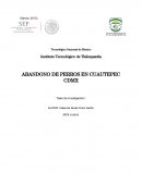 Abandono de perros en Cuautepec CDMX