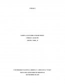 MAPAS DE CONOCIMIENTO REGIONAL