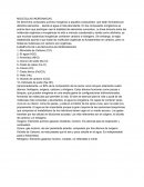 MOLECULAS INORGANICAS