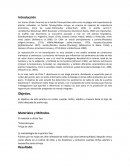 ARAÑA ROJA DE LA FRESA