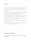 PRESUPUESTOS DE CAPITAL