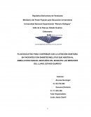 PLAN EDUCATIVO PARA CONTRIBUIR CON LA ATENCIÓN SANITARIA EN PACIENTES CON DIABETES MELLITUS
