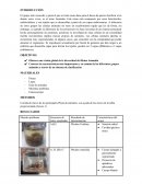 Informe de laboratorio: Diversidad de la vida - Animales