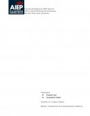 CASO ESTUDIO LA CARGA DE LAS FIGURAS DE VIDRIO