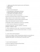 Presupuesto cuestionario