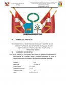 Mejoramiento de la transitabilidad vehicular y peatonal en los jirones y pasajes del sector noreste de la ciudad de Puno - Distrito de Puno