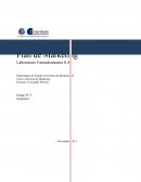 Plan de Marketing Laboratorio Farmakonsuma S.A