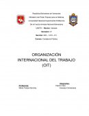 ORGANIZACIÓN INTERNACIONAL DEL TRABAJO (OIT)