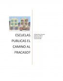 ESCUELAS PUBLICAS EL CAMINO AL FRACASO?