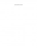 Plan de Mejora de Calidad SOE S.A.S