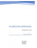 Planificación de la producción