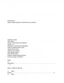 Informe Marketing Final Inacap 2019