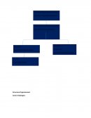 Estructura Organizacional. Centro Podologico