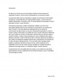 TECNOLOGIA Y ESCUELA