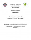Practica del laboratorio #5 IDENTIFICACIÓN DE PROTEINAS