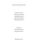 Surgimiento de la Economía Agrícola en Vietnam