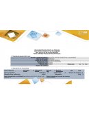 Matriz Individual Recolección de Información