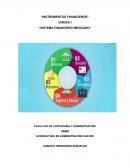 Instrumentos financieros mexicanos