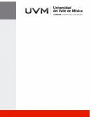 PRACTICA FORENSE DE DERECHO PENAL . Medidas Cautelares