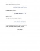 TRANSICIONES ELECTRÓNICAS