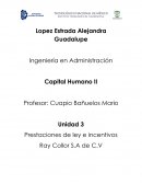 Prestaciones de ley e incentivos Ray Collor S.A de C.V