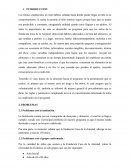 INFORME ETAPA INICIAL