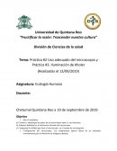 Práctica #2 Uso adecuado del microscopio y Práctica #3. Iluminación de Kholer