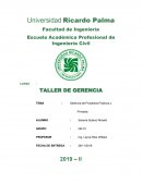 PROYECTOS DE GERENCIA PUBLICOS Y PRIVADOS