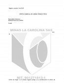 OFERTA COMERCIAL DE CARBON TERMICO TIPO B