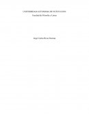 Ensayo sobre el siglo XX y sus consecuencias