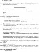 PLAN DE EMPRESA - PROCEDIMIENTO