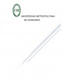 Legislación para negocios internacionales