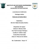 Síndrome de Guillain Barre