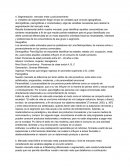 Segmentación, mercado meta y posicionamiento