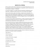 MUSEO DE LA TORTURA Y RELACIÓN CON EL DERECHO