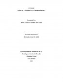 INFORME HABITOS SALUDABLES Y CONDICIÓN FÍSICA