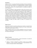 Introduccion empresa PRISMA DIGITAL