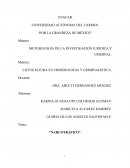 Narcotrafico en mexico