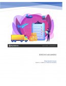 Derecho Aduanero. 21 aduanas fronterizas