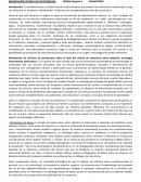 DELIMITACIÓN TÉCNICA DE PSICOTERAPIAS FIORINI