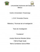 Tesis de investigación “Coctelería”